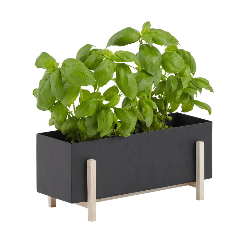 Botanic Collection - OUTLET