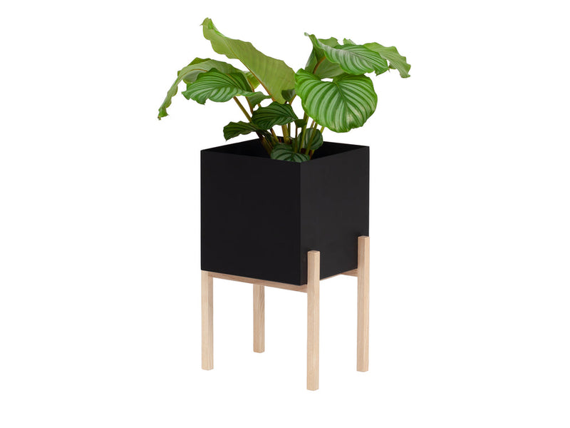 Botanic Collection - OUTLET